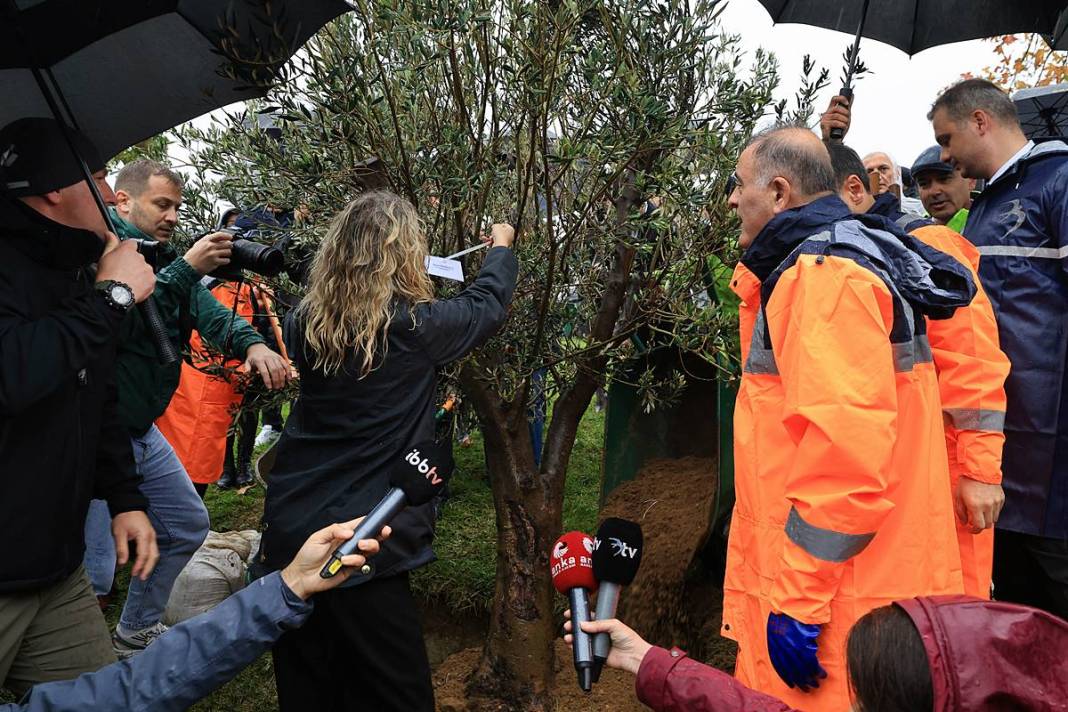 İstanbul'a 1111 'nefes' takviyesi yapıldı! Fıstık çamları ve zeytinler buluştu 14